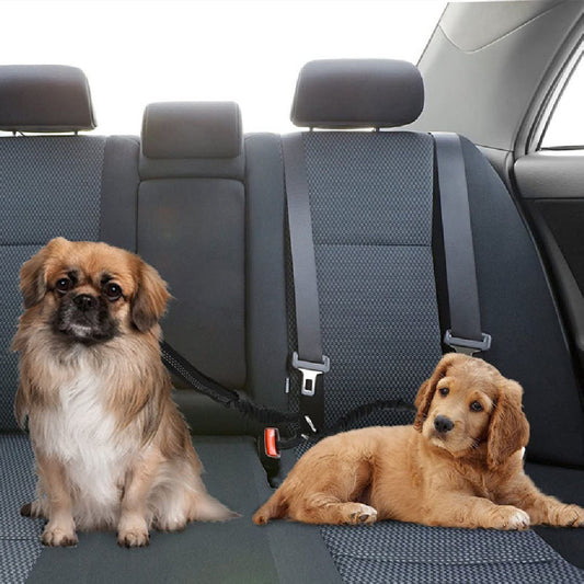 Double-ended Traction Rope Pet Car Seat Belt - Secure Two Pets