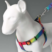 Creative Color Dog Leash Pet Vest Harness