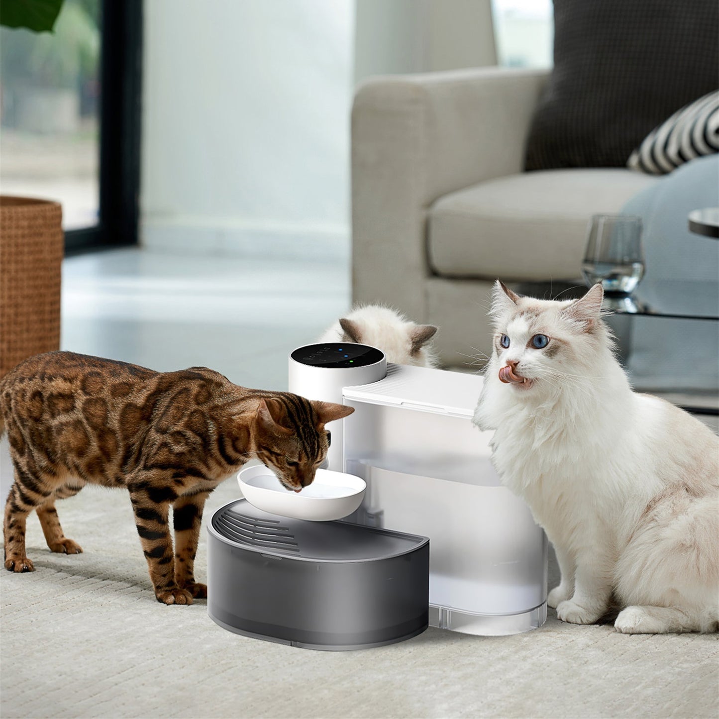 Smart Pet Water Fountain - 3L Cordless Self-Refill for Cats & Dogs - Purrfect Pet Haven