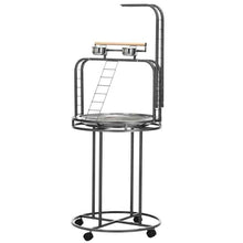 PawHut Parrot Stand Large Bird Perch Stand With Toy Hook  3 Ladders, Parrot Perch, Bird Wooden Stand, Gray