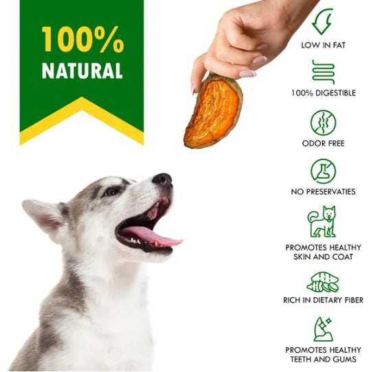 Sweet Potato Dog Treats - Natural Chips 10.6 Oz Healthy Snacks