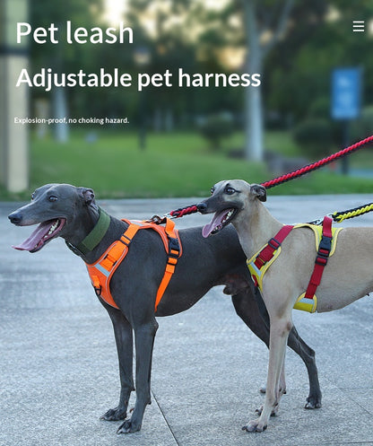 Dog Harness - Large Chest Style with Leash