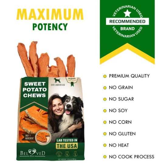 Sweet Potato Dog Treats - Natural Chips 10.6 Oz Healthy Snacks