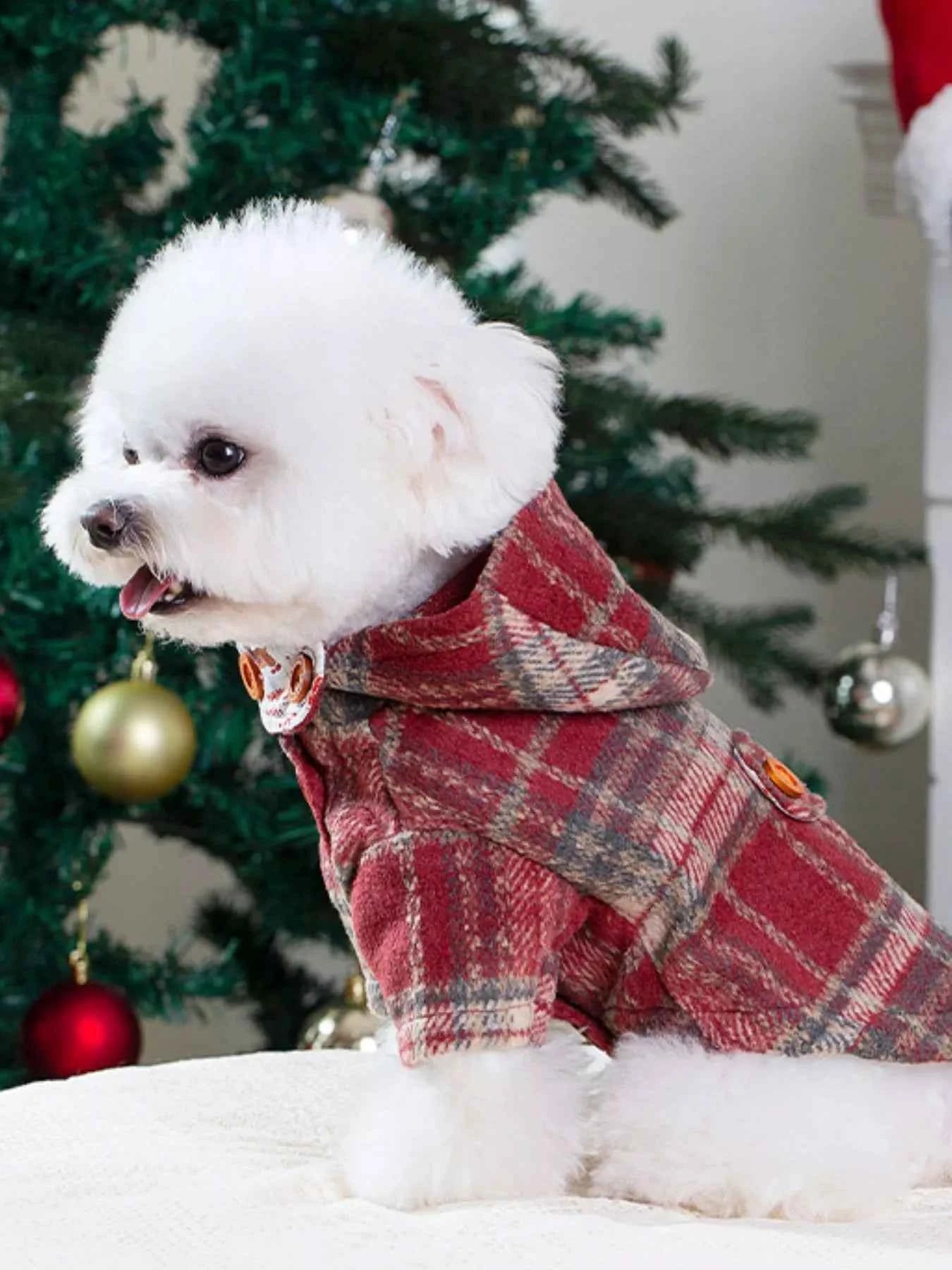 Plaid Button-Down Pet Coat with Hood