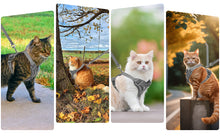 Anti-Escape Cat Harness - Breathable Mesh Leash Set