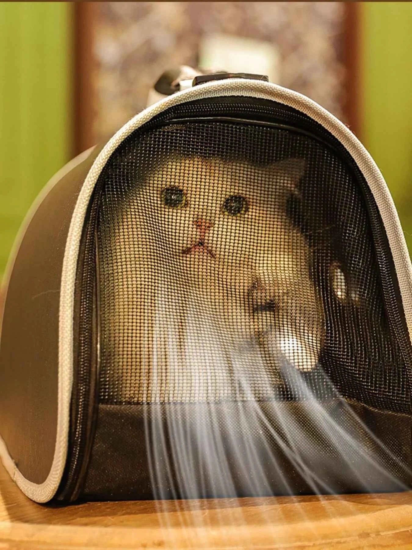 Portable Bubble Window Pet Carrier Bag