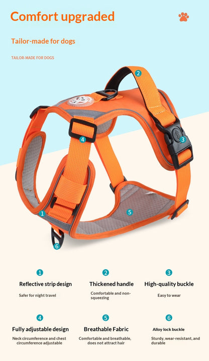 Dog Harness - Large Chest Style with Leash