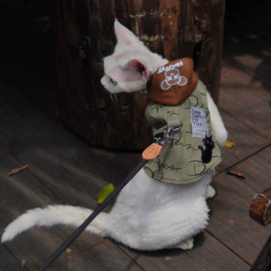 Cat with a hoodie on a wooden surface