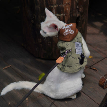 Cat with a hoodie on a wooden surface