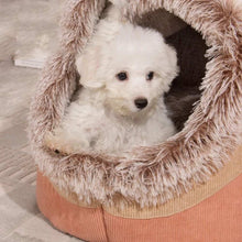 White dog in a fluffy pet bed on a carpeted floor