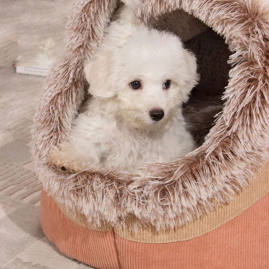 White dog in a fluffy pet bed on a carpeted floor