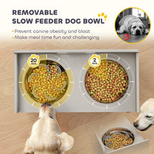 Elevated Dog Bowls - Modern Gray Design