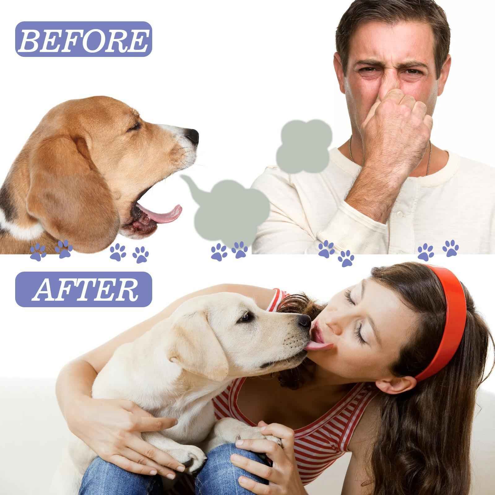 Pet Teeth Cleaning Spray - Natural Dental Care for Dogs & Cats - Purrfect Pet Haven