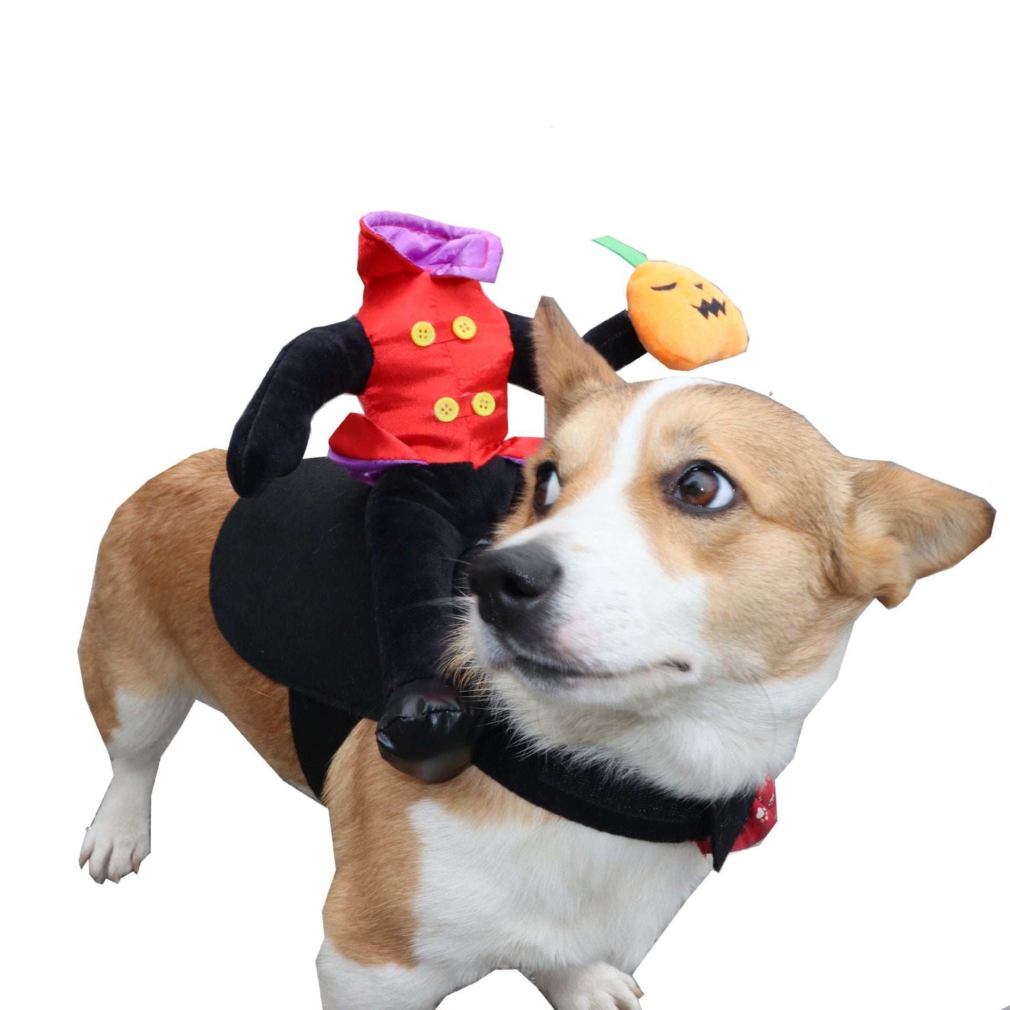 Hilarious Halloween Dog Costume - Funny Pet Outfit for Maximum Laughs