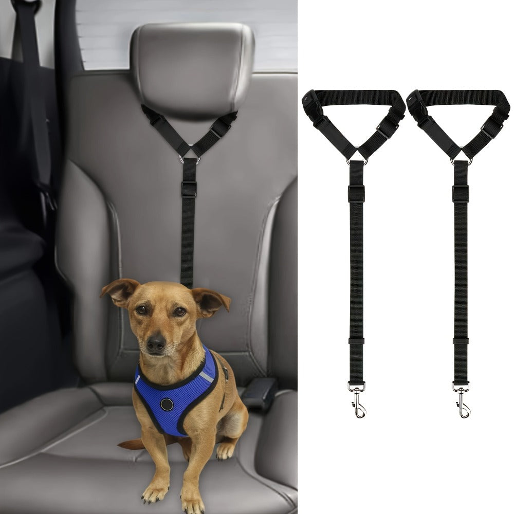 Dog Leash Set - Two-Piece Collar & Leash for Training