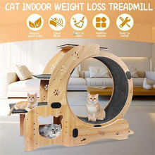Cat indoor weight loss treadmill with features listed on a white background
