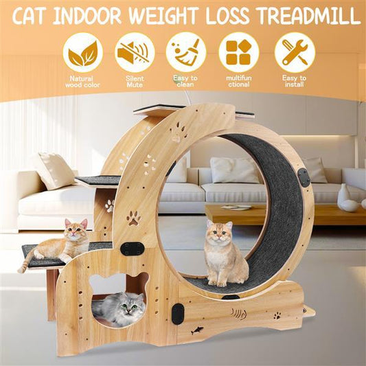 Cat indoor weight loss treadmill with features listed on a white background