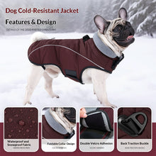 Winter Dog Jacket - Thickened Double-Layer Insulated Vest