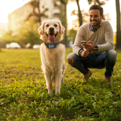 Wireless Dog Fence System - 328FT GPS