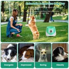 Automatic Dog Ball Launcher - Rechargeable Fetch Machine - Purrfect Pet Haven