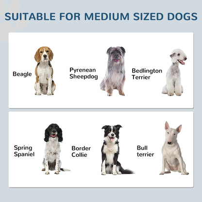 Dog Feeding Station Cabinet - Raised Bowls Storage and Hooks