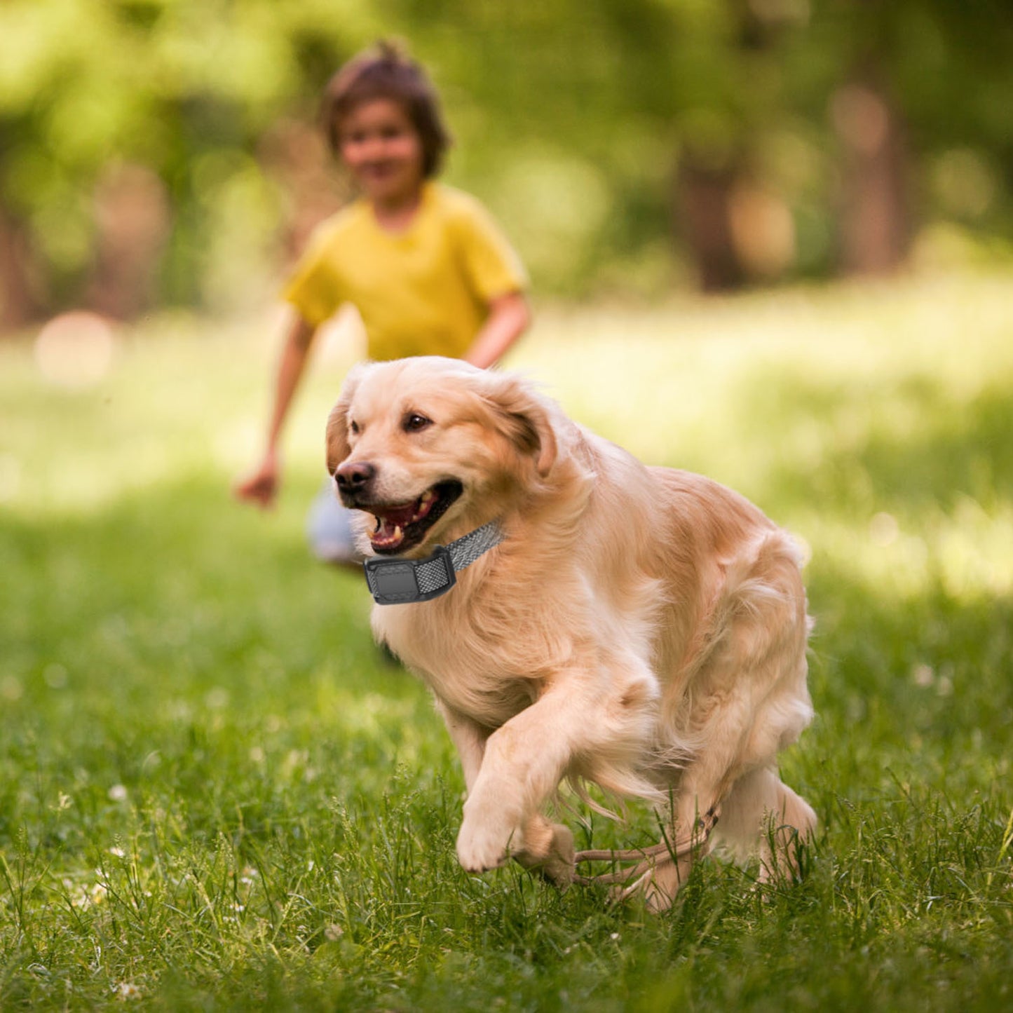 Citronella Bark Collar - Spray No Shock for Dogs IP65 Waterproof - Purrfect Pet Haven