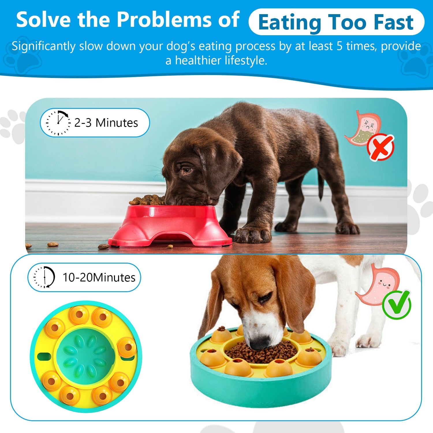Dog Puzzle Feeder - Slow Feeding IQ Training Toy - Purrfect Pet Haven
