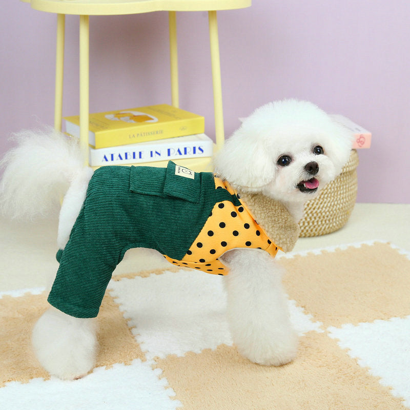 Small white dog wearing a yellow and green outfit on a checkered floor with a yellow chair and books in the background.