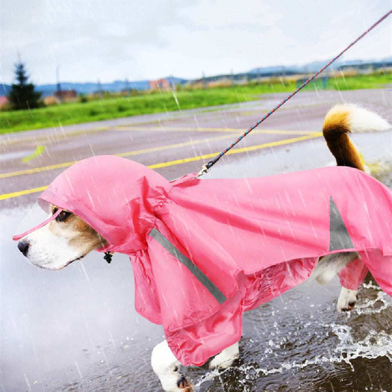 Dog wearing a pink raincoat walking on a wet road