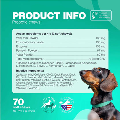 70 Probiotic Chews Support Gut Health, Yeast Balance, Itchy Skin and Allergies For Dogs