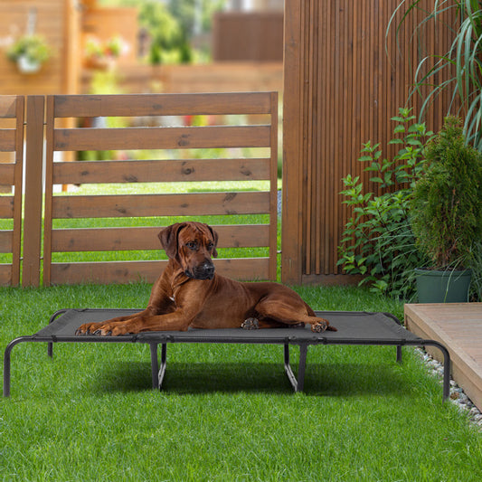Dog lying on a elevated pet bed in a backyard setting
