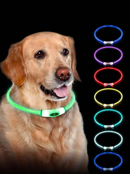 USB Rechargeable Cuttable Full Glow LED Pet Collar for Night Anti-Lost
