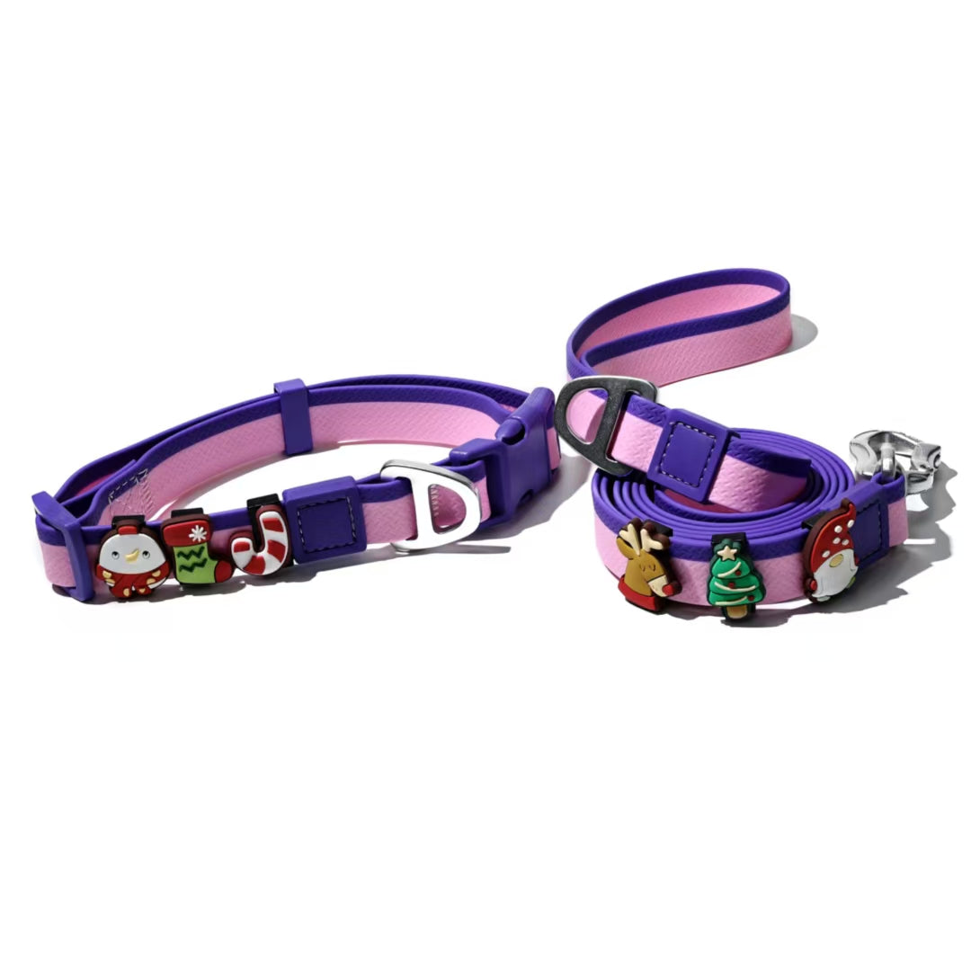 DIY Pet Leash Set - Dual-Color Embossed with 12 Accessories
