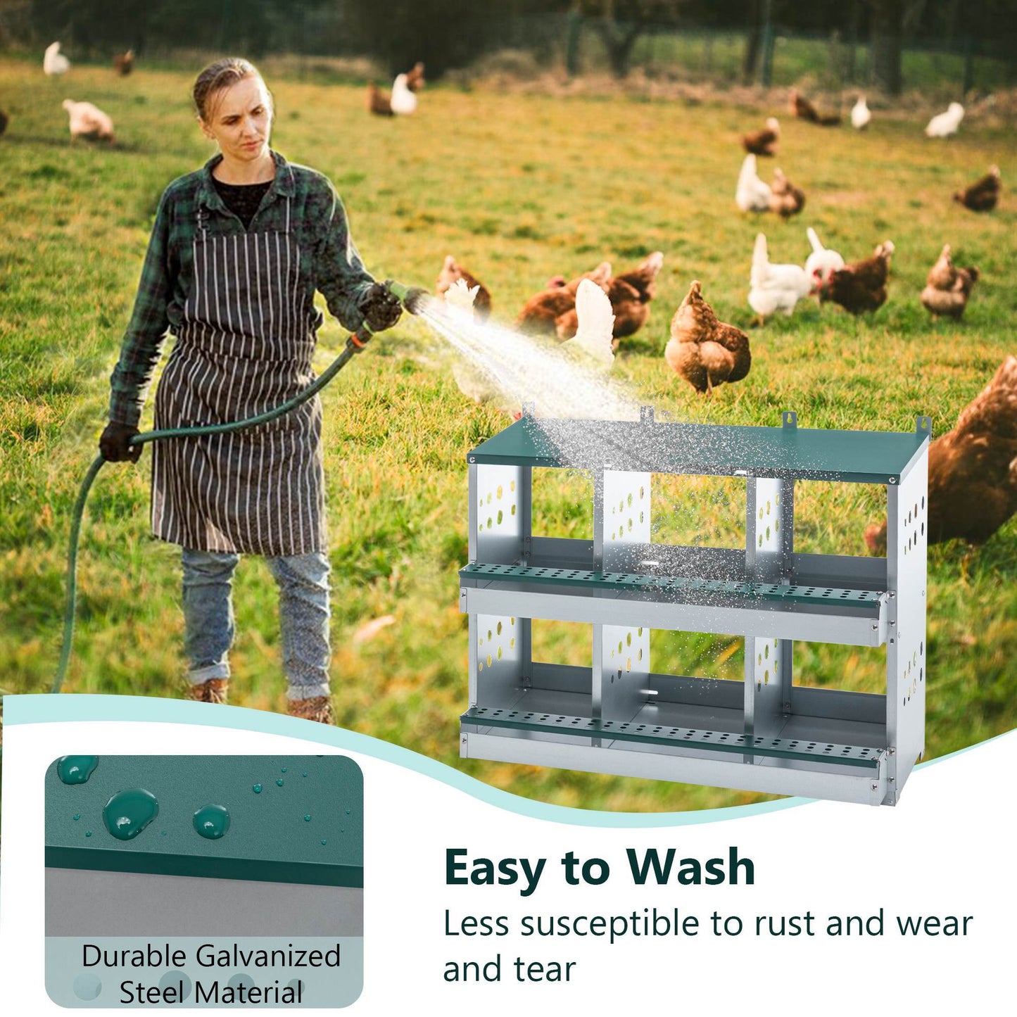 6-Compartment Chicken Nesting Box - Roll-Away Egg Collection