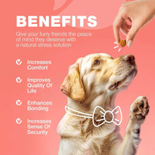 Dog Flea And Tick Treatment Chews FleaTick Prevention For Dogs Chewables Natural Dog Flea & Tick Control Soft Treats Immune Support Supplement CANNOT Be Listed For Sale On Amazon