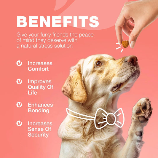 Dog Flea And Tick Treatment Chews FleaTick Prevention For Dogs Chewables Natural Dog Flea & Tick Control Soft Treats Immune Support Supplement CANNOT Be Listed For Sale On Amazon