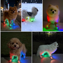 2026 New Glowing Dog Shoes - 4 Pcs LED Light-Up Anti-Slip