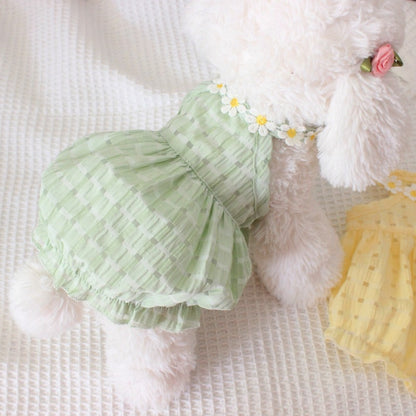Green pet outfit with floral details on a fluffy white background