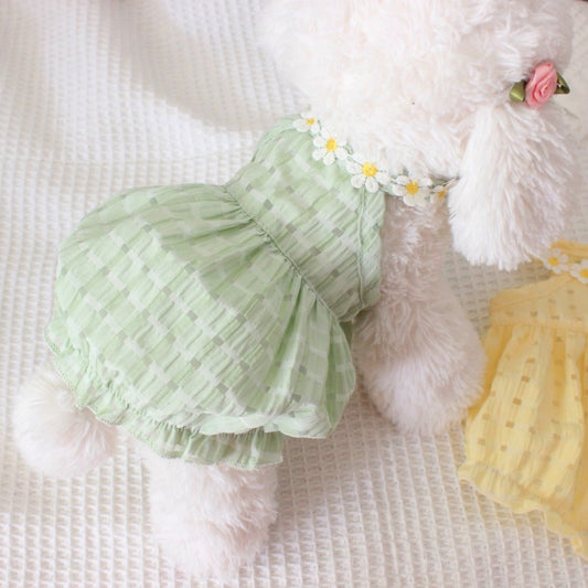 Green pet outfit with floral details on a fluffy white background