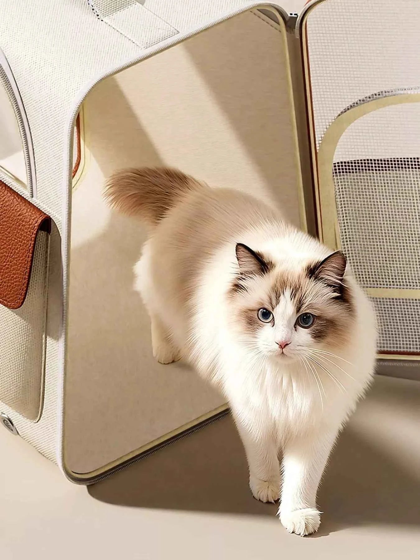 Portable Breathable Pet Carrier Backpack