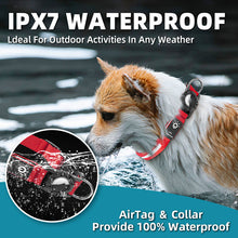 LED Waterproof Pet Collar - Safety Light Up Dog Collar