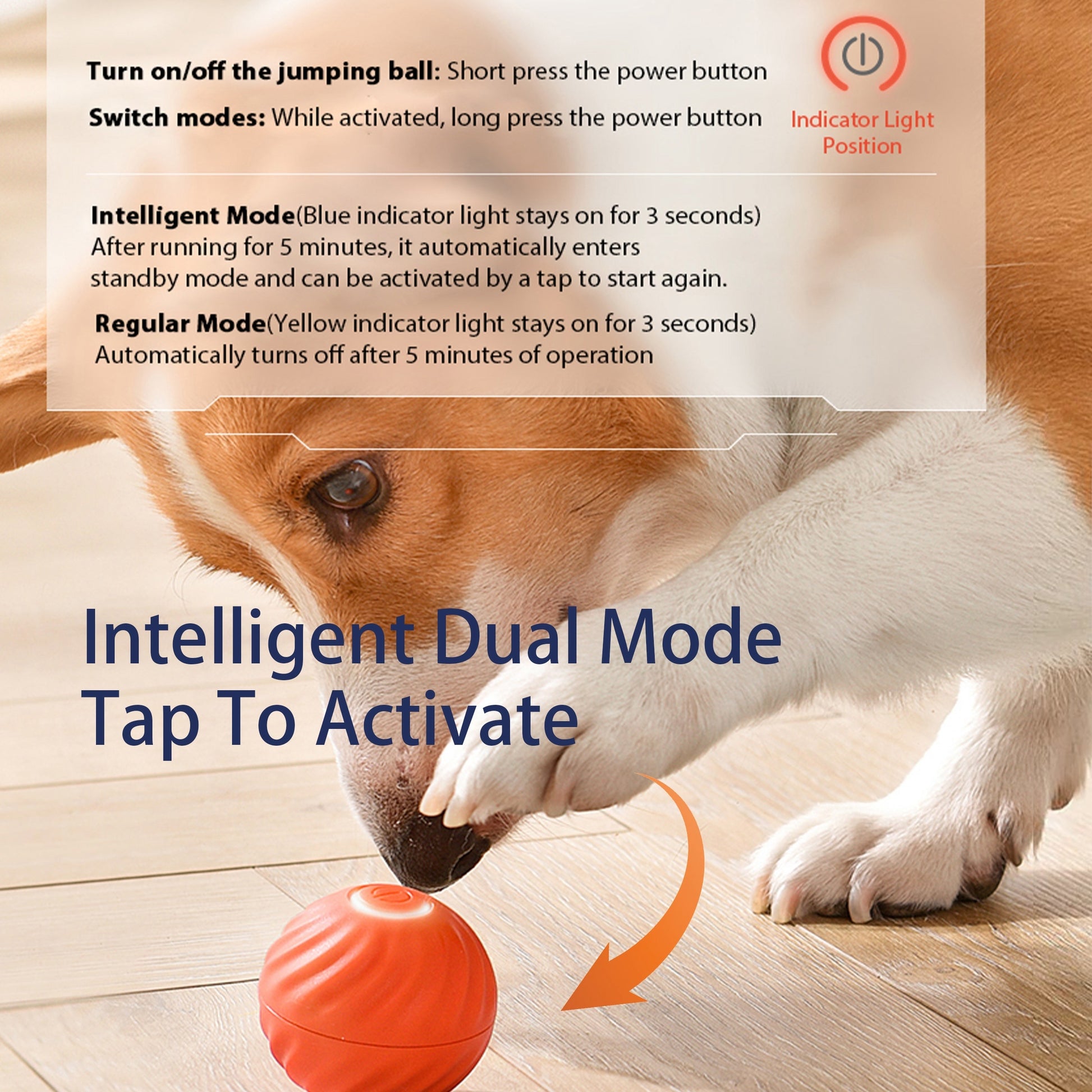 Wefulfil Automatic Smart Dog Toy in use with dog tapping orange jumping ball on wooden floor