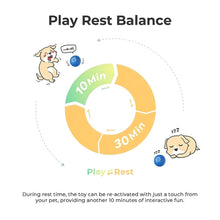 Wefulfil Automatic Smart Dog Toy play and rest balance with 10 and 30 minute intervals for pet fun