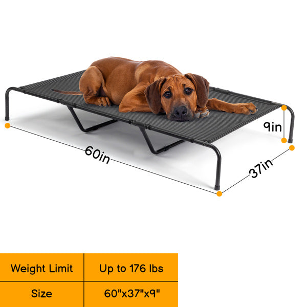 Dog lying on a elevated pet bed with dimensions and weight limit displayed