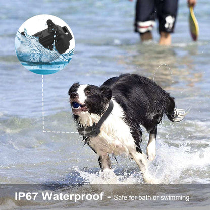 Dog Training Collar With Remote IP67 Waterproof Pet Trainer 300mAh Rechargeable 875 Yard Remote Control 4 Modes Adjustable Level