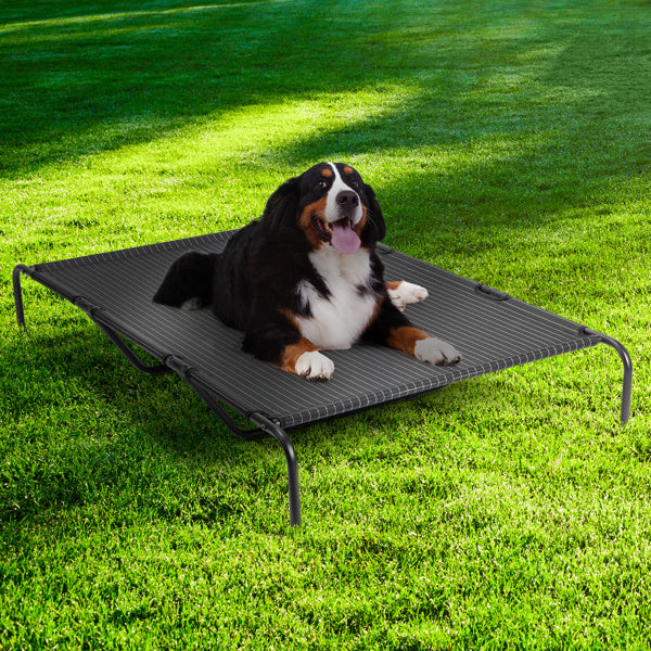 Elevated Cooling Dog Bed - Heavy Duty 175lb