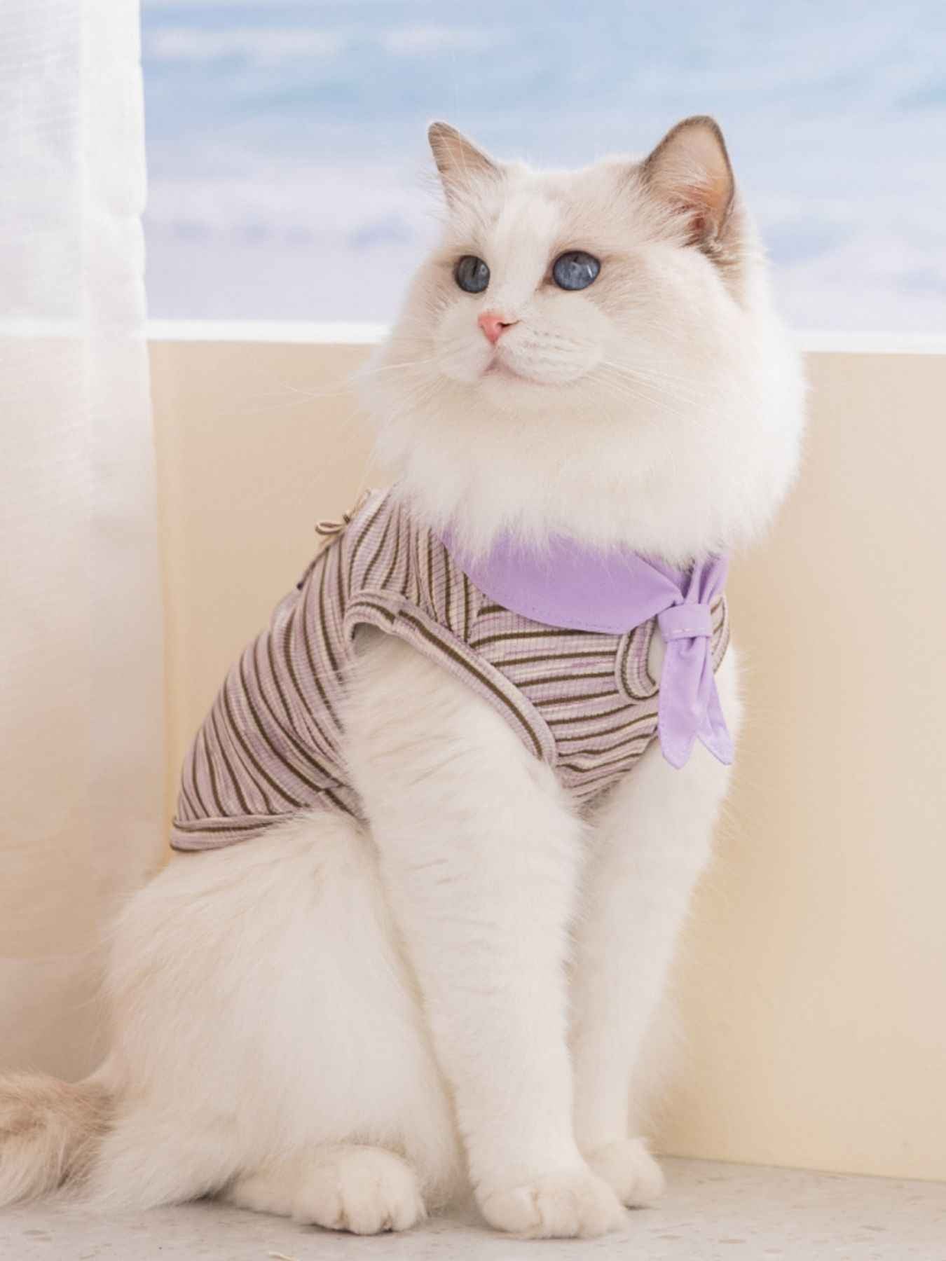 b4280ffe-7ddf-4c88-9356-0e2d6f59141a-Max