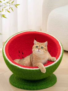 Watermelon Shaped Cat Scratching Post Nest