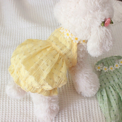 White fluffy dog wearing a yellow dress with floral details on a textured white background