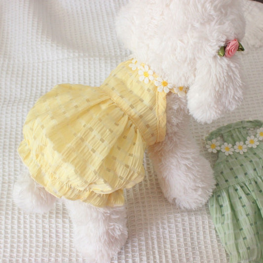 White fluffy dog wearing a yellow dress with floral details on a textured white background